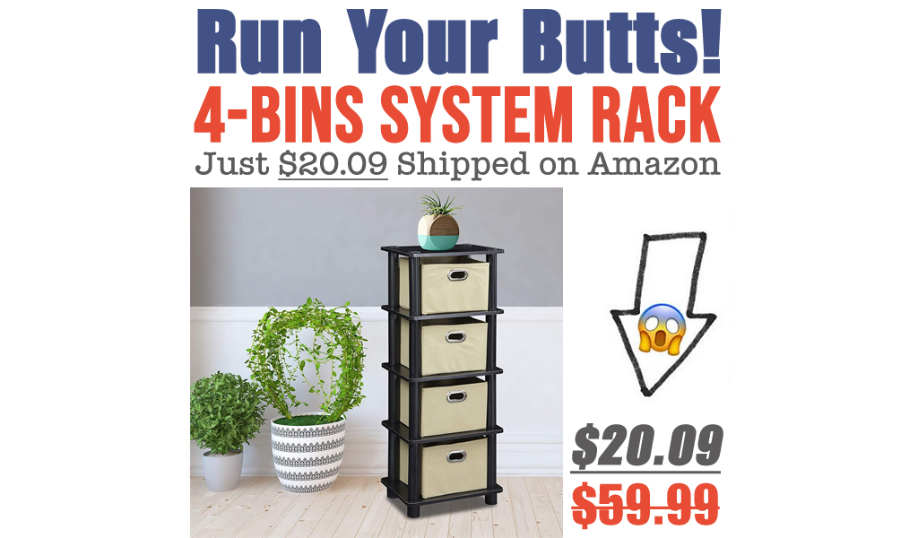4-Bins System Rack Just $20.09 Shipped on Amazon (Regularly $59.99)