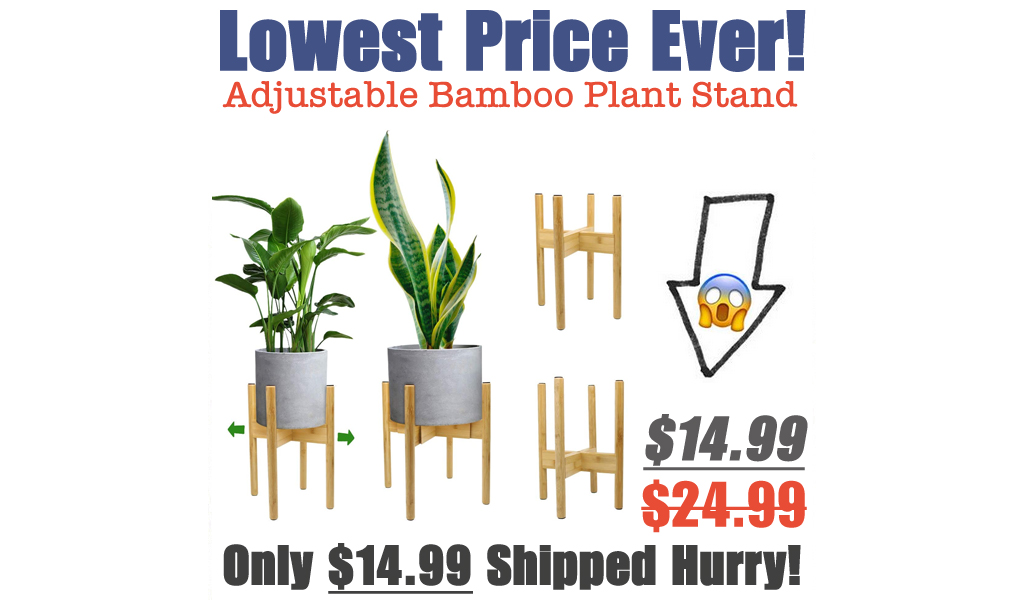 Adjustable Bamboo Plant Stand Only $14.99 Shipped on Amazon (Regularly $24.99)