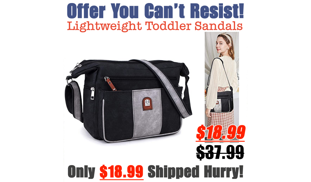 Crossbody Shoulder Bag Only $18.99 Shipped on Amazon (Regularly $37.99)