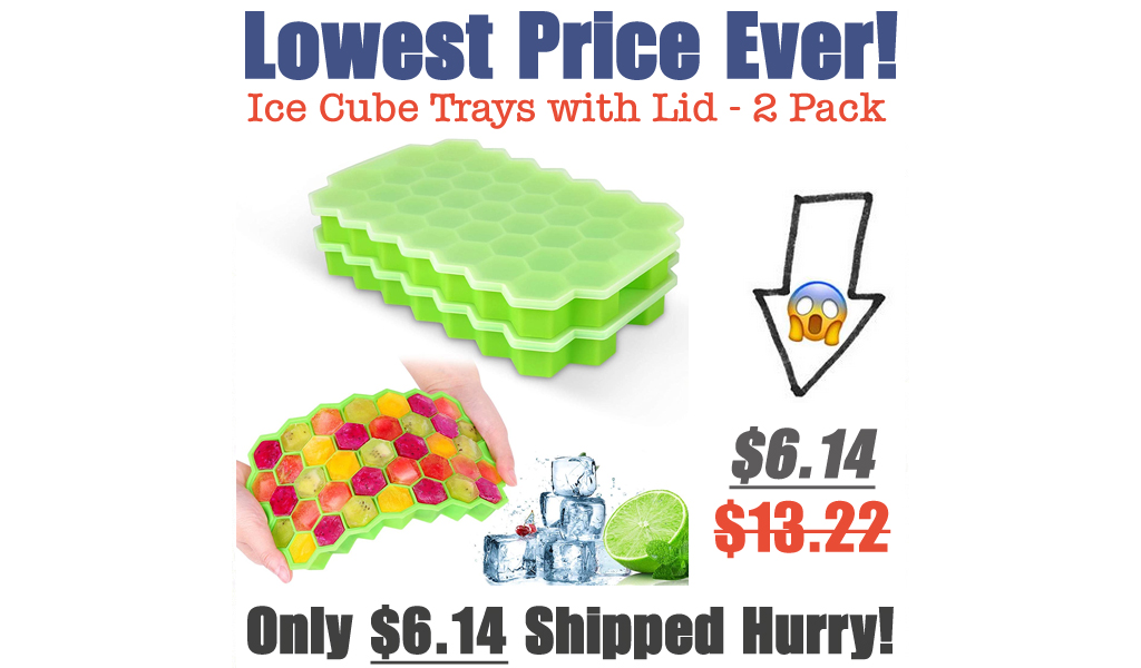 Ice Cube Trays with Lid - 2 Pack Only $6.14 Shipped on Amazon (Regularly $13.22)