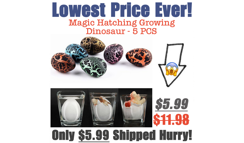 Magic Hatching Growing Dinosaur - 5 PCS Only $5.99 Shipped on Walmart.com (Regularly $11.98)