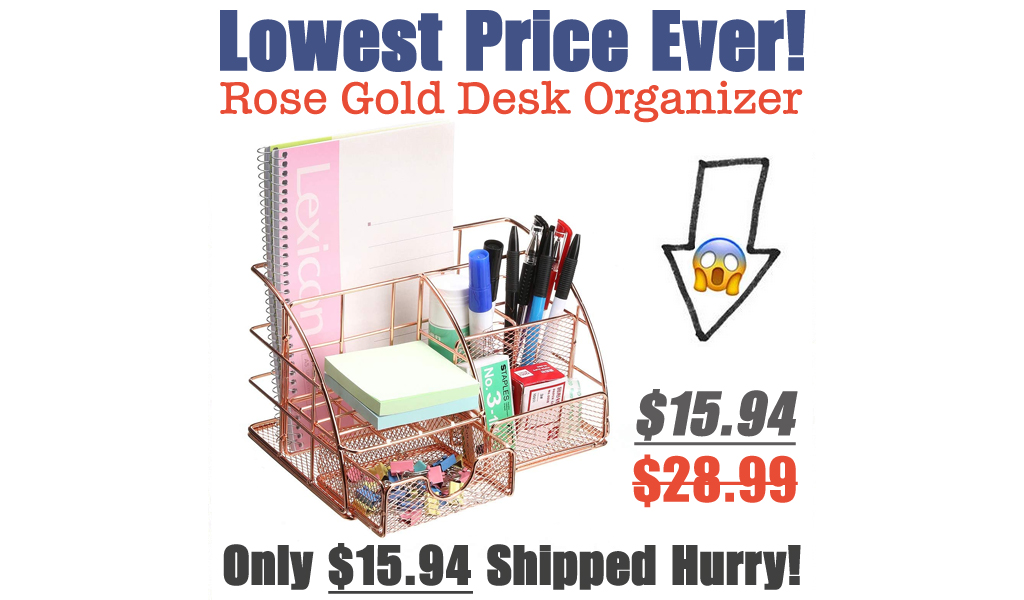 Rose Gold Desk Organizer Only $15.94 Shipped on Amazon (Regularly $28.99)