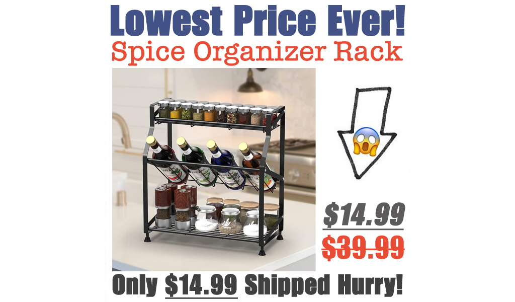 Spice Organizer Rack Just $14.99 Shipped on Amazon (Regularly $39.99)