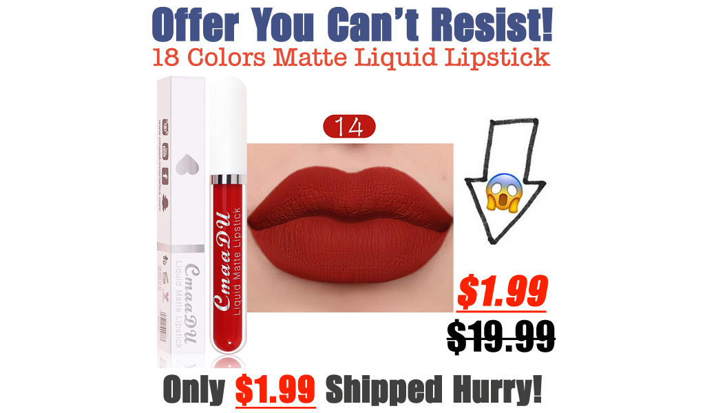 18 Colors Matte Liquid Lipstick Only $1.99 Shipped on Amazon (Regularly $19.99)