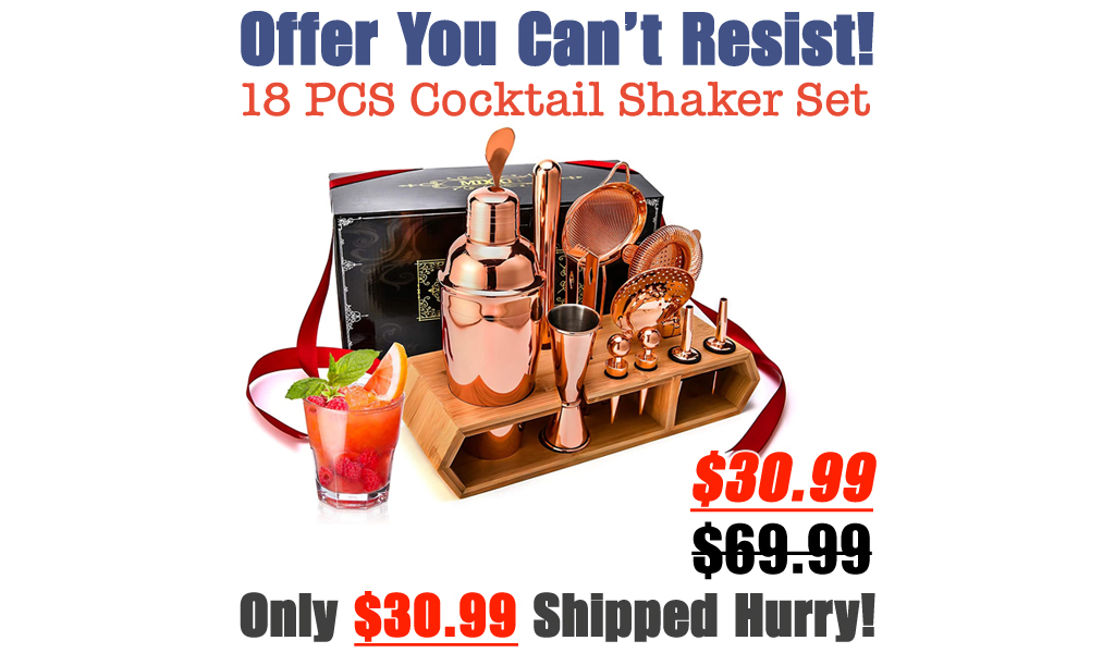 18 PCS Cocktail Shaker Set Only $30.99 Shipped on Amazon (Regularly $69.99)