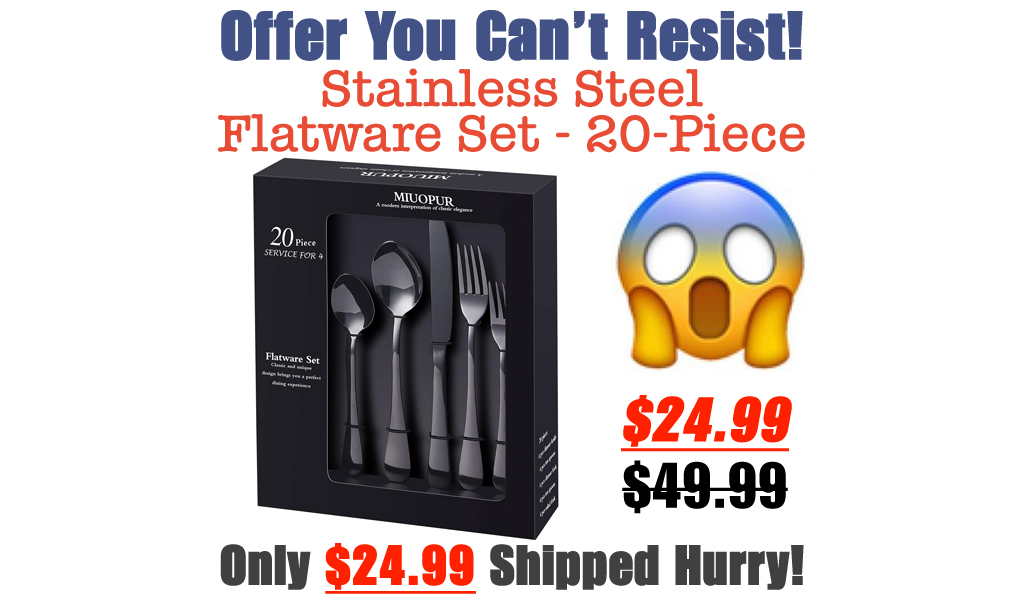 20-Piece Stainless Steel Flatware Set Only $24.99 Shipped on Amazon (Regularly $49.99)