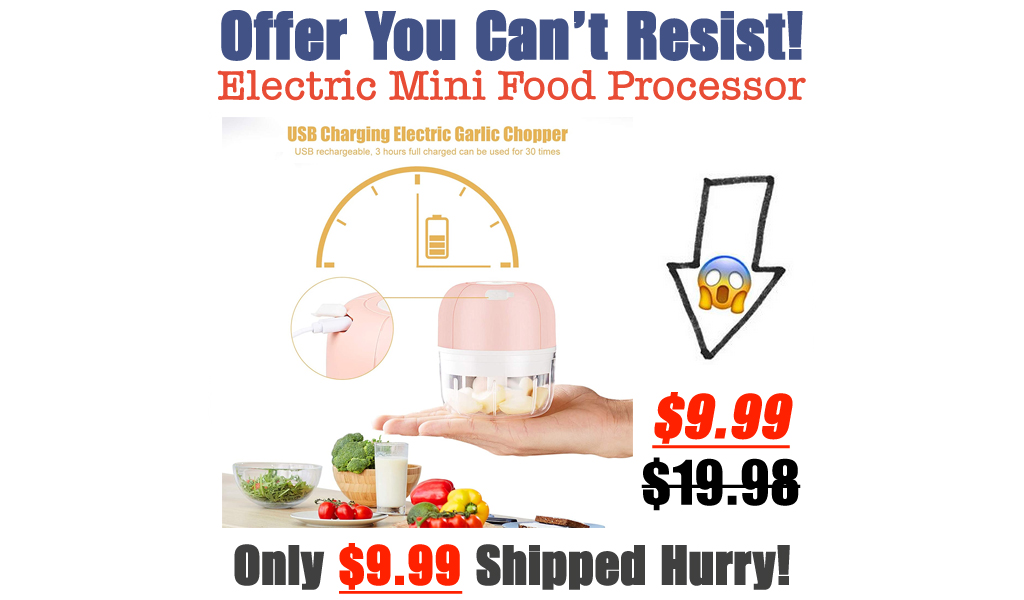 Electric Mini Food Processor Only $9.99 Shipped on Amazon (Regularly $19.98)