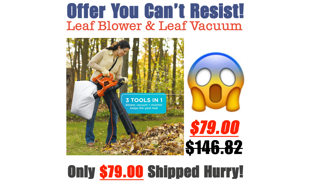 Leaf Blower & Leaf Vacuum Only $79.00 Shipped on Amazon (Regularly $146.82)