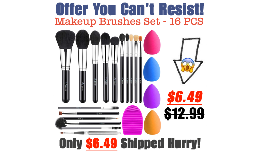 Makeup Brushes Set - 16 PCS Only $6.49 Shipped on Amazon (Regularly $12.99)