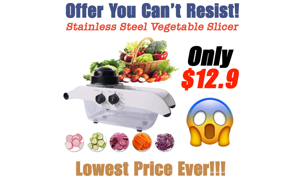 Stainless Steel Vegetable Slicer Only $12.9 Shipped on Amazon (Regularly $25.99)