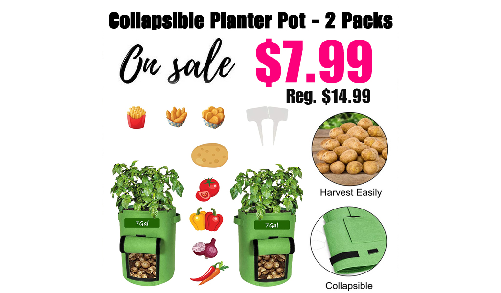 Collapsible Planter Pot - 2 Packs Only $7.99 Shipped on Amazon (Regularly $14.99)
