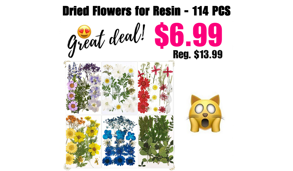 Dried Flowers for Resin - 114 PCS Only $6.99 Shipped on Amazon (Regularly $13.99)