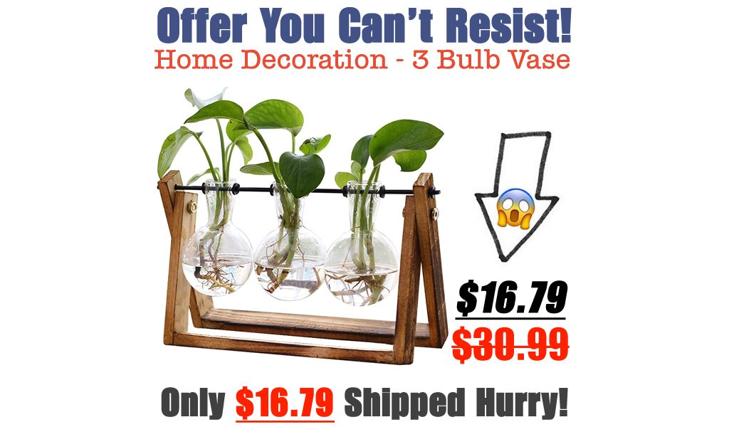 Home Decoration - 3 Bulb Vase Only $16.79 Shipped on Amazon (Regularly $30.99)