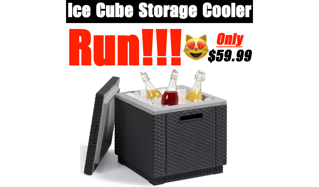 Ice Cube Storage Cooler Only $59.99 Shipped on Amazon