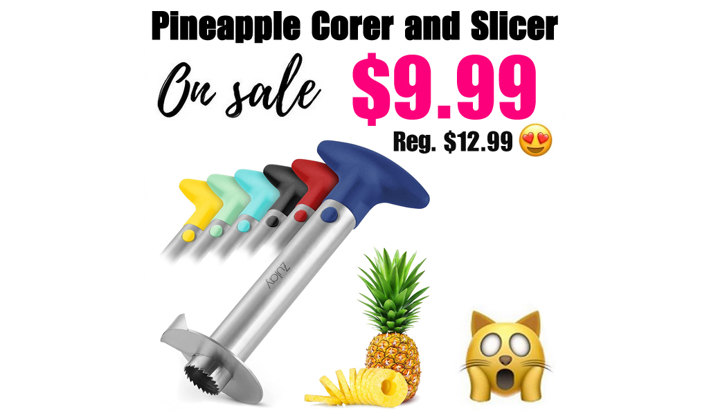 Pineapple Corer and Slicer Only $9.99 Shipped on Amazon (Regularly $12.99)
