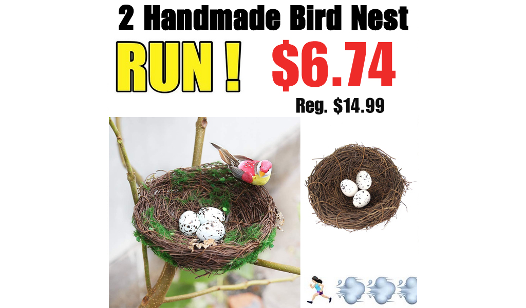 2 Handmade Bird Nest Only $6.74 Shipped on Amazon (Regularly $14.99)