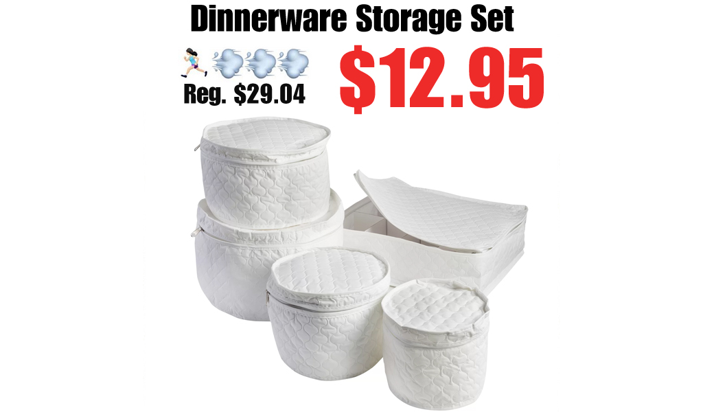 Dinnerware Storage Set Only $12.95 on Wayfair (Regularly $29.04)