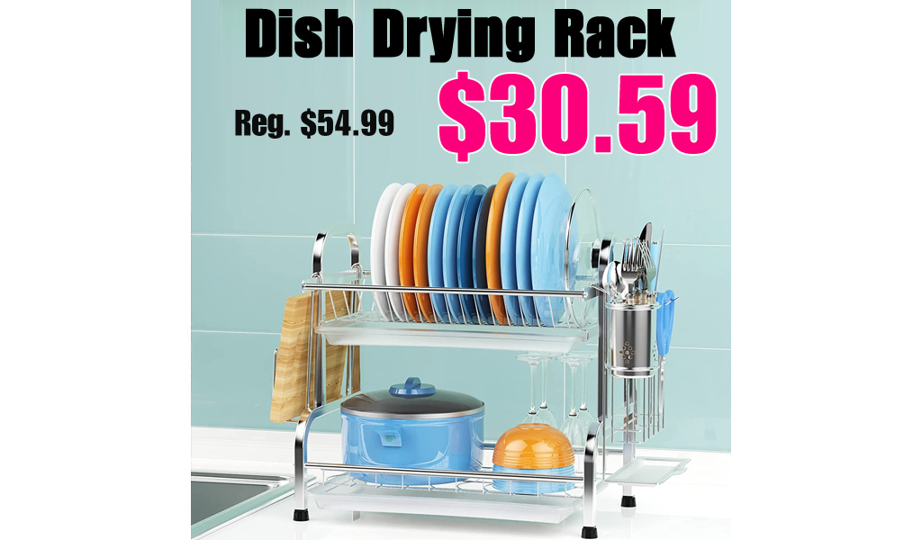 Dish Drying Rack Only $30.59 Shipped on Amazon (Regularly $54.99)