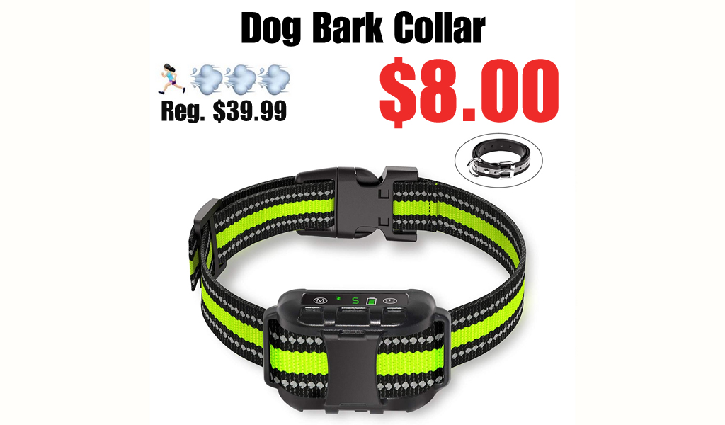Dog Bark Collar Only $8.00 Shipped on Amazon (Regularly $39.99)