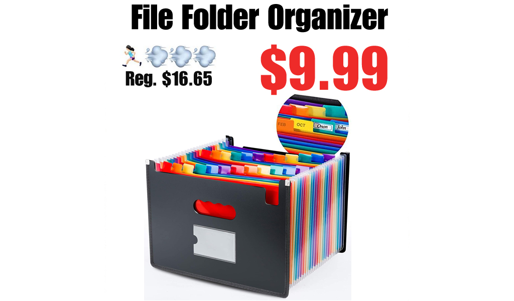 File Folder Organizer Only $9.99 Shipped on Amazon (Regularly $16.65)