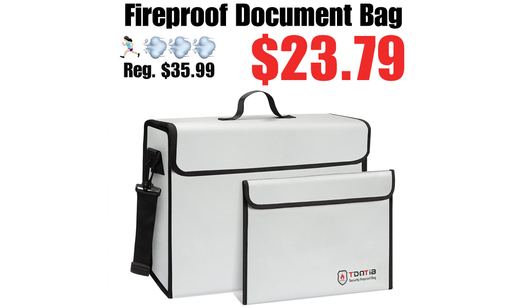 Fireproof Document Bag Only $23.79 Shipped on Amazon (Regularly $35.99)