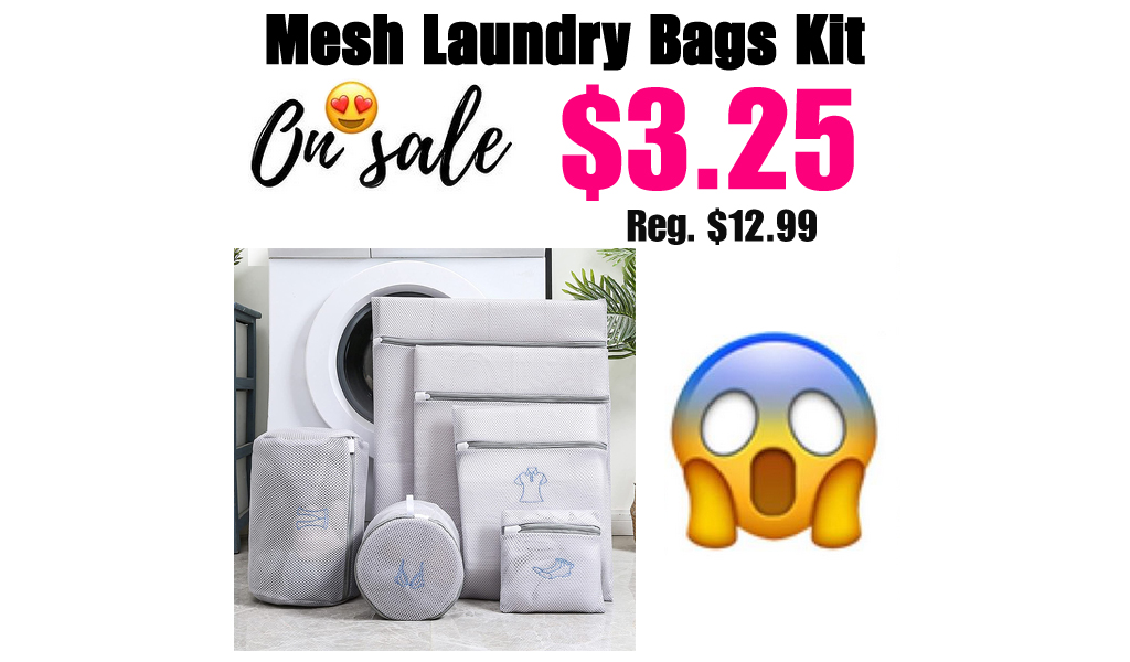 Mesh Laundry Bags Kit Only $3.25 Shipped on Amazon (Regularly $12.99)