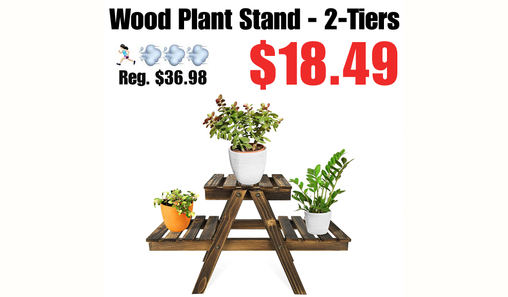 Wood Plant Stand - 2-Tiers Only $18.49 Shipped on Amazon (Regularly $36.98)