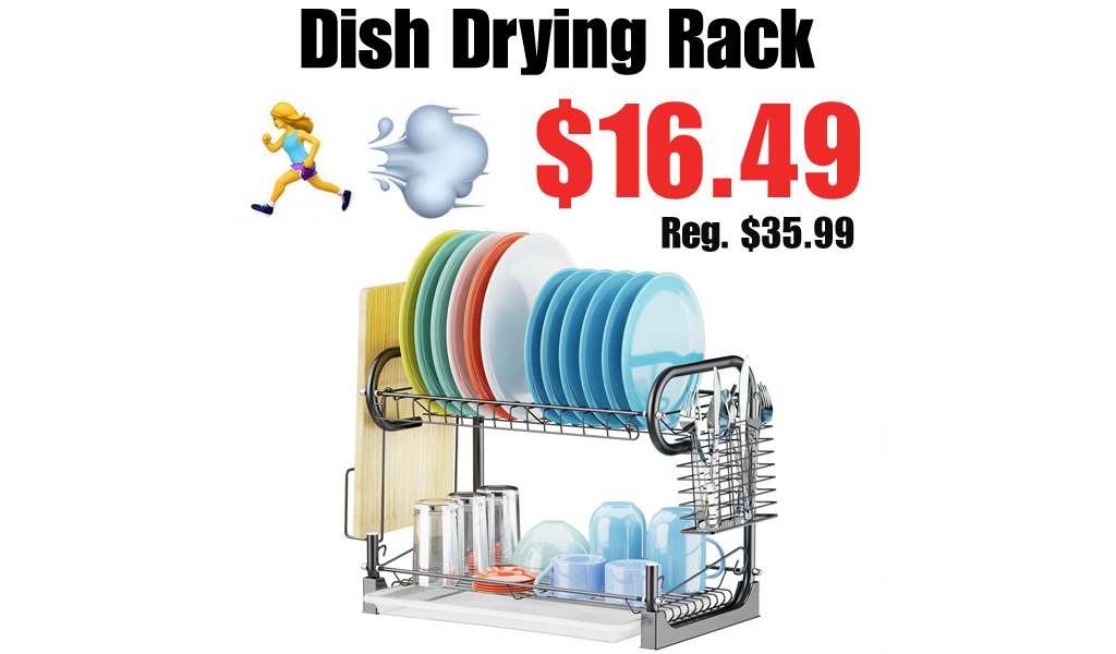 Dish Drying Rack Only $16.49 Shipped on Amazon (Regularly $35.99)