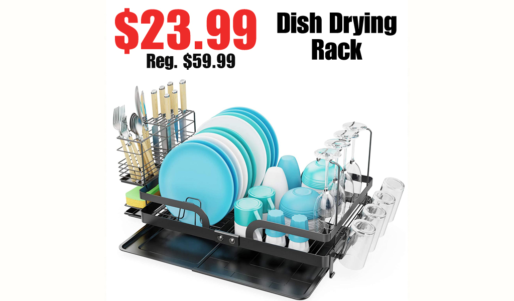 Dish Drying Rack Only $23.99 on Amazon (Regularly $59.99)