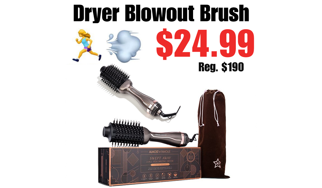 Dryer Blowout Brush Only $24.99 Shipped on Zulily (Regularly $190)