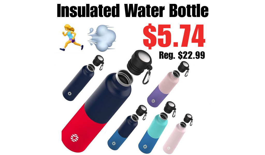 Insulated Water Bottle Only $5.74 on Amazon (Regularly $22.99)