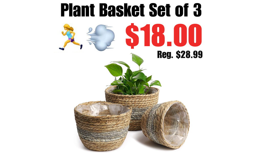 Plant Basket Set of 3 Only $18.00 Shipped on Amazon (Regularly $28.99)