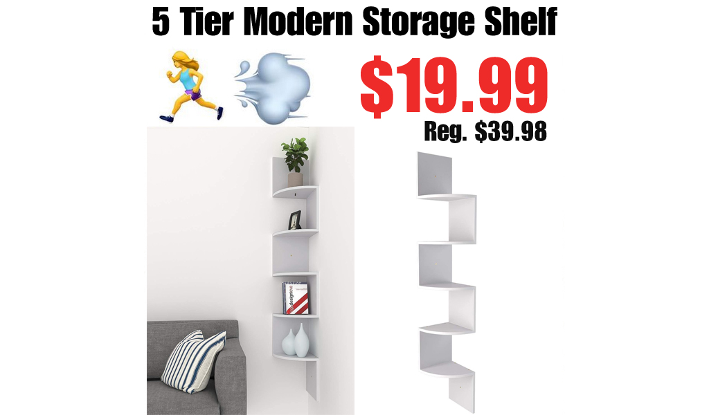 5 Tier Modern Storage Shelf Only $19.99 Shipped on Amazon (Regularly $39.98)