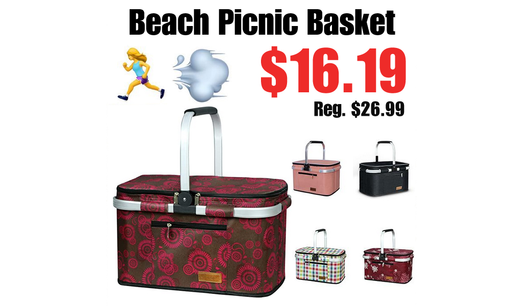Beach Picnic Basket Only $16.19 Shipped on Amazon (Regularly $26.99)