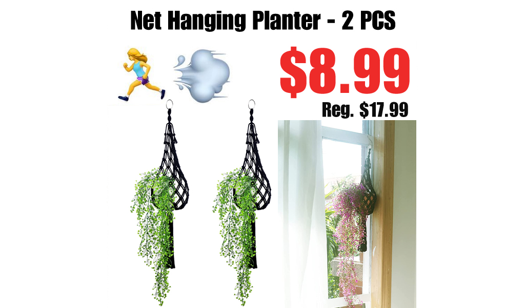 Net Hanging Planter - 2 PCS Only $8.99 Shipped on Amazon (Regularly $17.99)