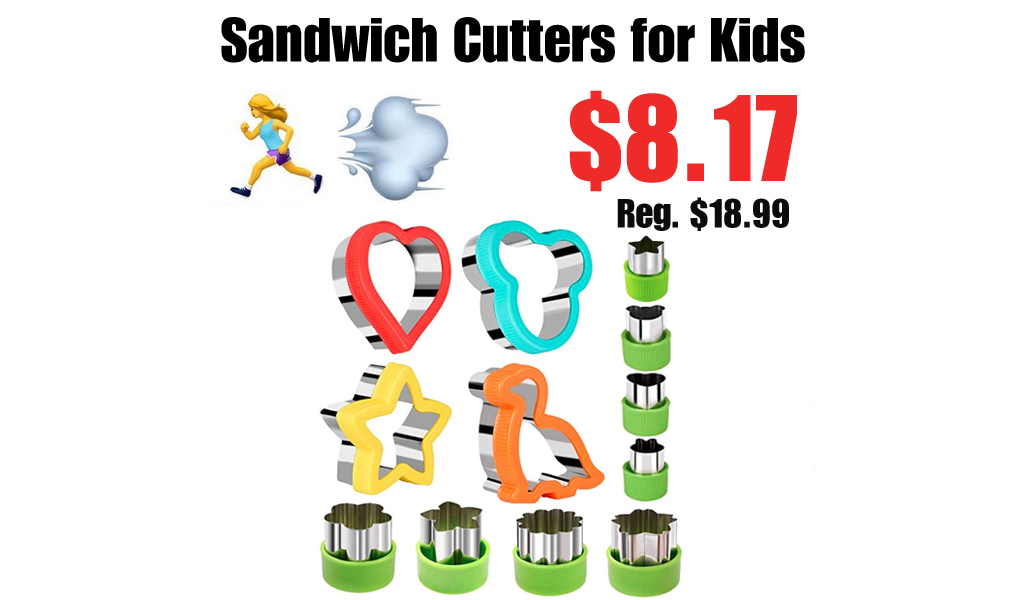 Sandwich Cutters for Kids Only $8.17 Shipped on Amazon (Regularly $18.99)