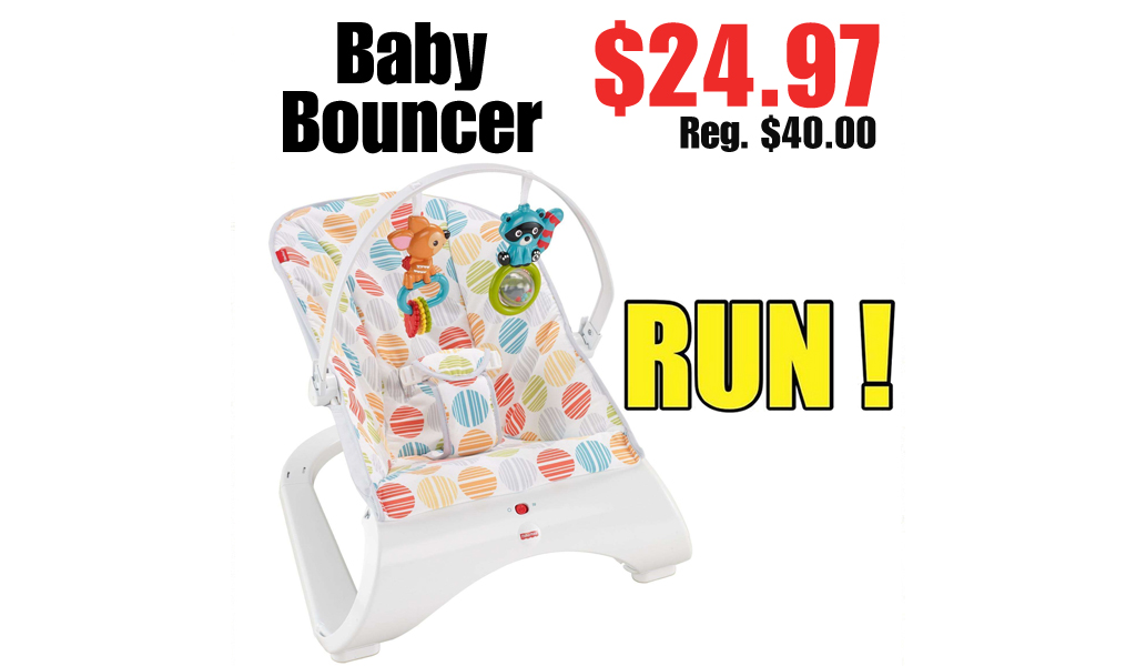 Baby Bouncer Just $24.97 on Walmart.com (Regularly $40.00)
