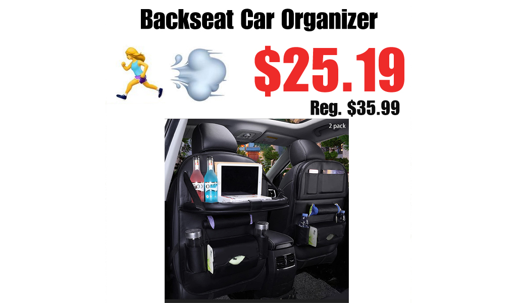 Backseat Car Organizer Only $25.19 Shipped on Amazon (Regularly $35.99)