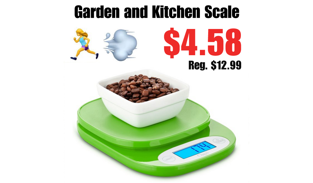 Digital Kitchen & Garden Scale Only $4.58 on Walmart.com (Regularly $13)