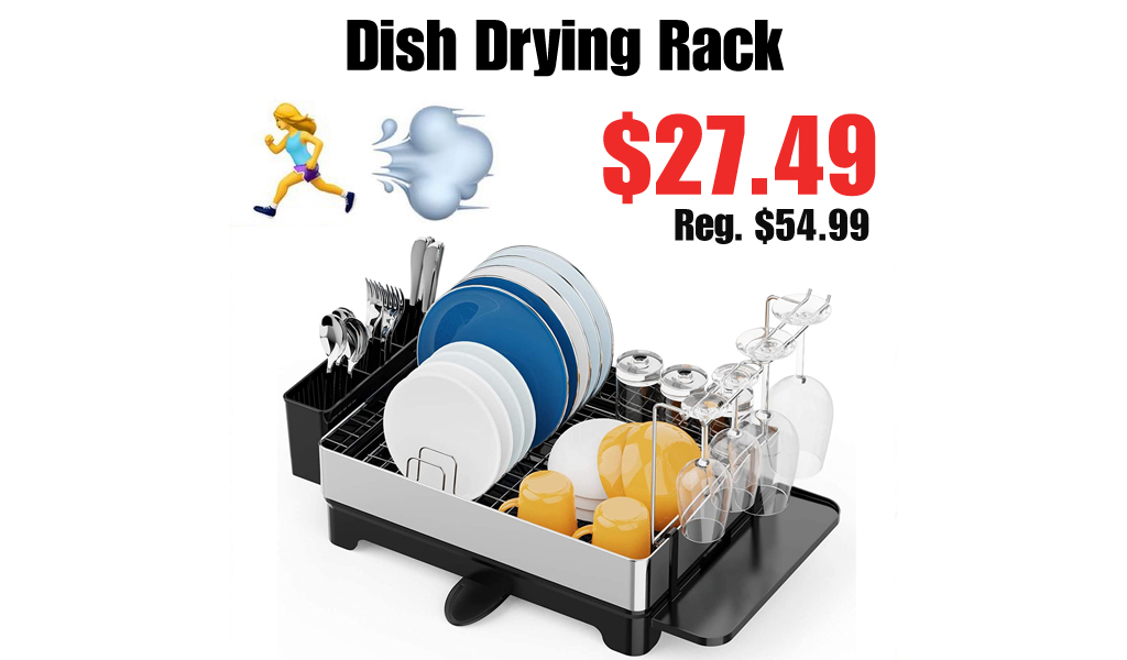 Dish Drying Rack Only $27.49 Shipped on Amazon (Regularly $54.99)