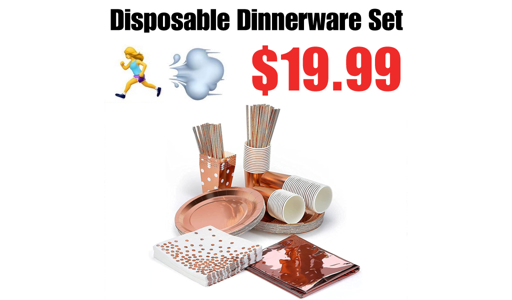 Disposable Dinnerware Set Only $19.99 Shipped on Amazon