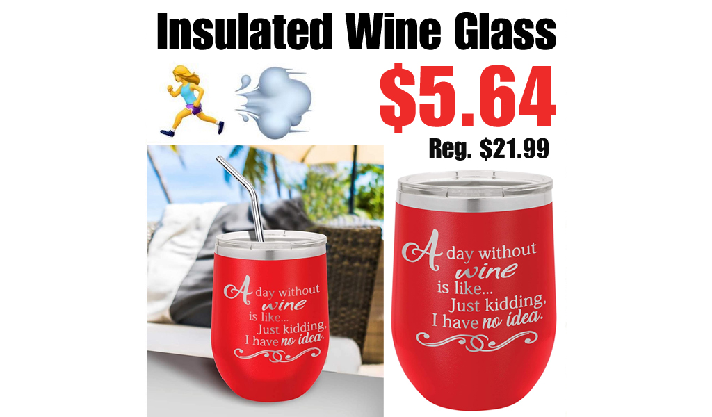Insulated Wine Glass Only $5.64 Shipped on Amazon (Regularly $21.99)