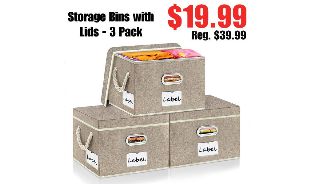 Storage Bins with Lids - 3 Pack Only $19.99 Shipped on Amazon (Regularly $39.99)