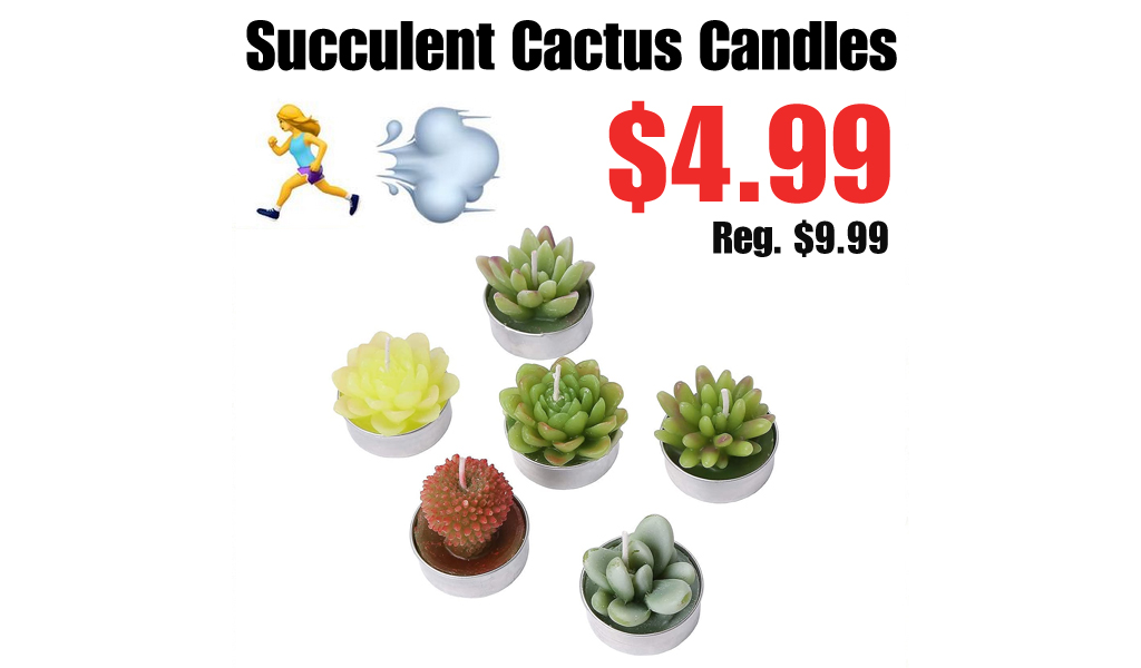 Succulent Cactus Candles Only $4.99 Shipped on Amazon (Regularly $9.99)