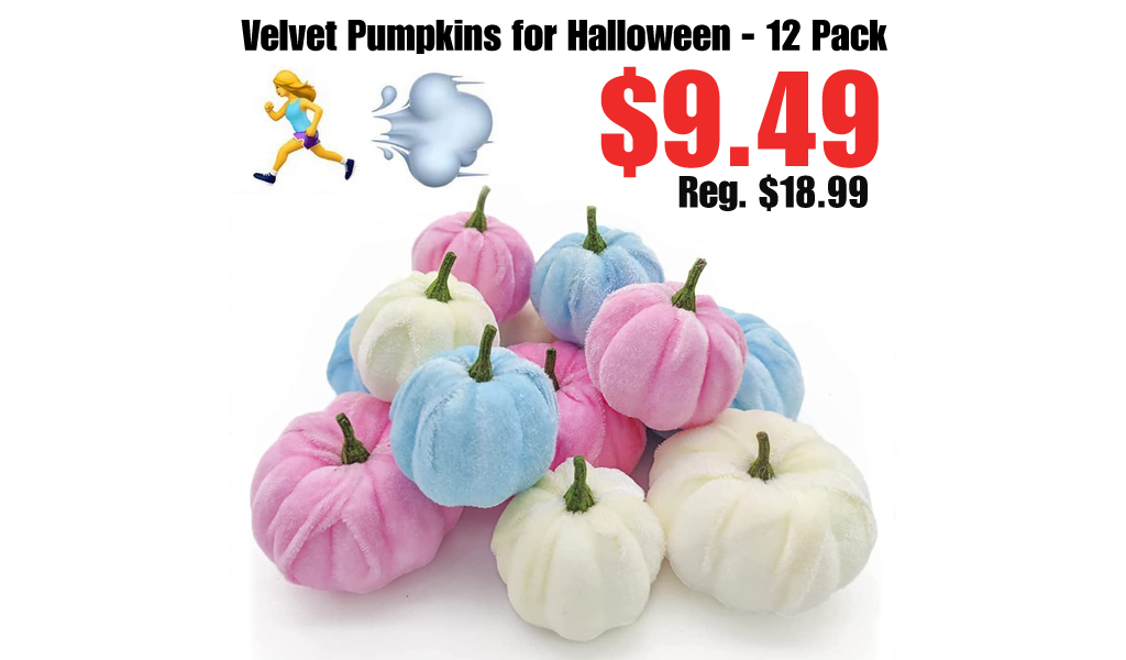 Velvet Pumpkins for Halloween - 12 Pack Only $9.49 Shipped on Amazon (Regularly $18.99)