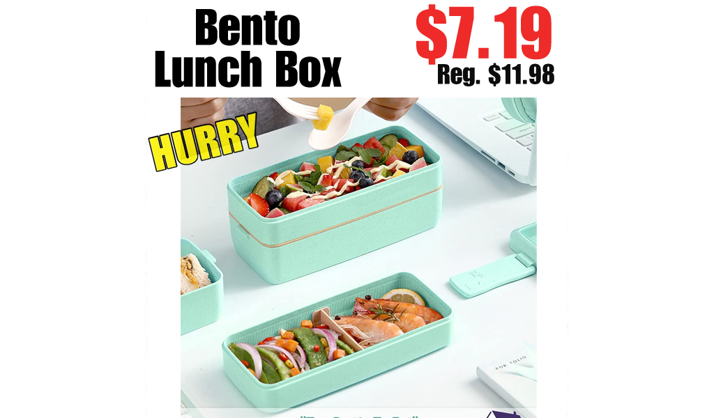 Bento Lunch Box Only $7.19 on Amazon (Regularly $11.98)