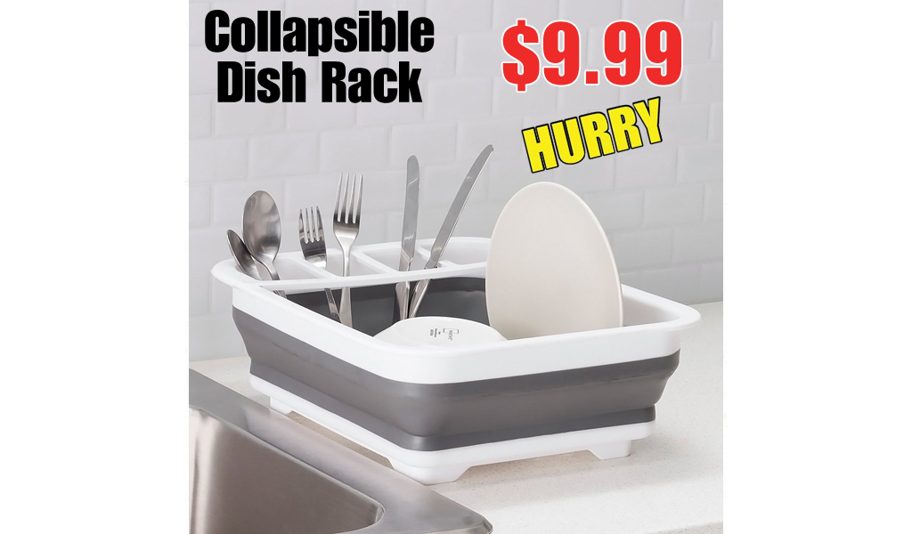 Collapsible Dish Rack Only $9.99 Shipped on Zulily