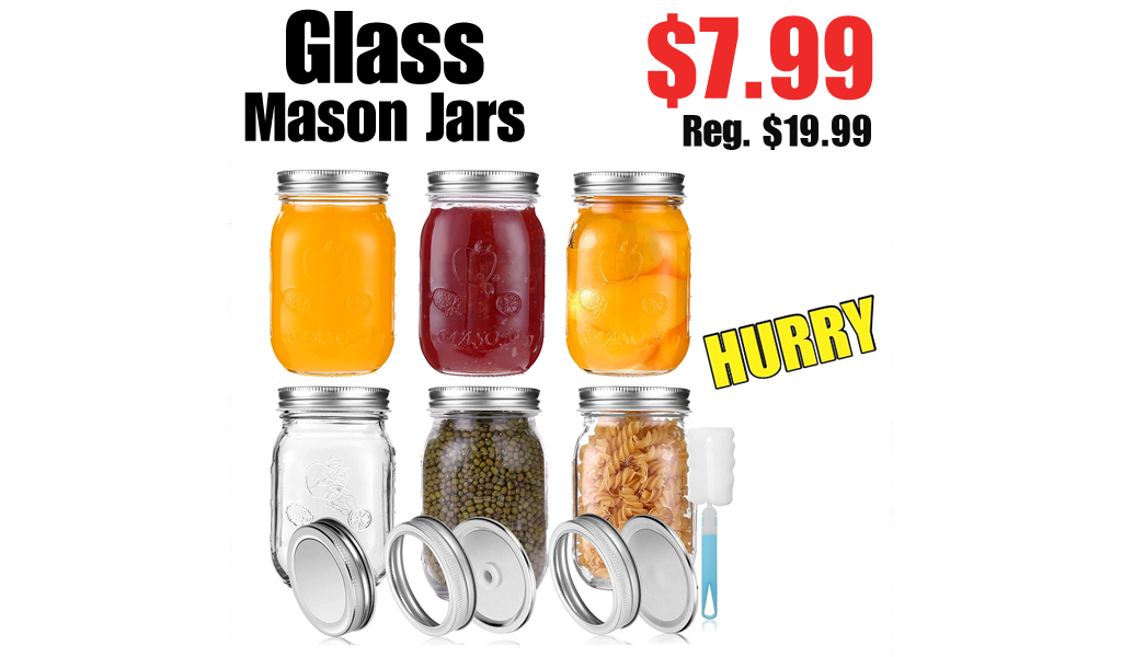 Glass Mason Jars $7.99 Shipped on Amazon (Regularly $19.99)