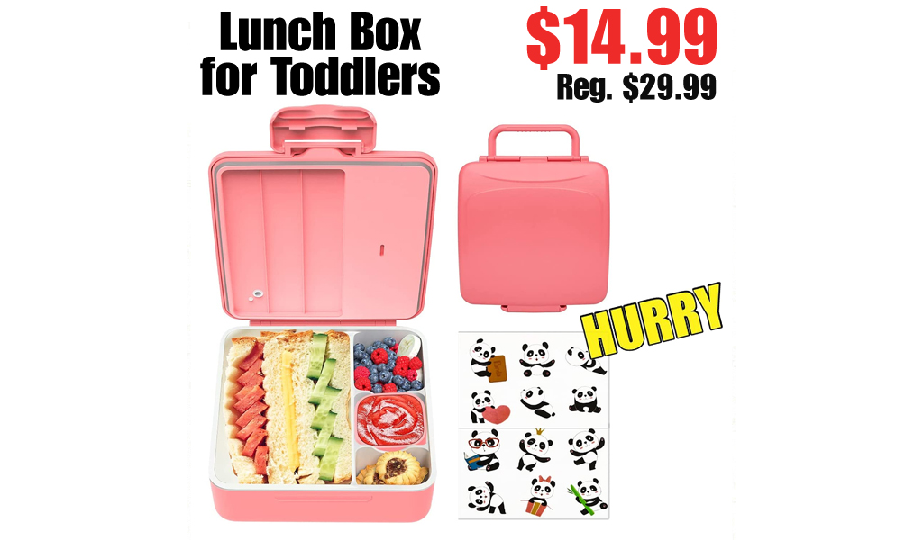 Lunch Box for Toddlers Only $14.99 Shipped on Amazon (Regularly $29.99)