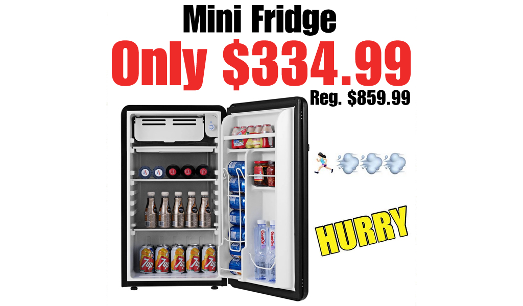 Mini Fridge Only $334.99 on Wayfair (Regularly $859.99)